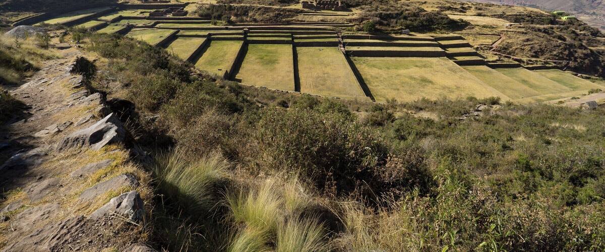 Terraced fields in a mountainous landscape.