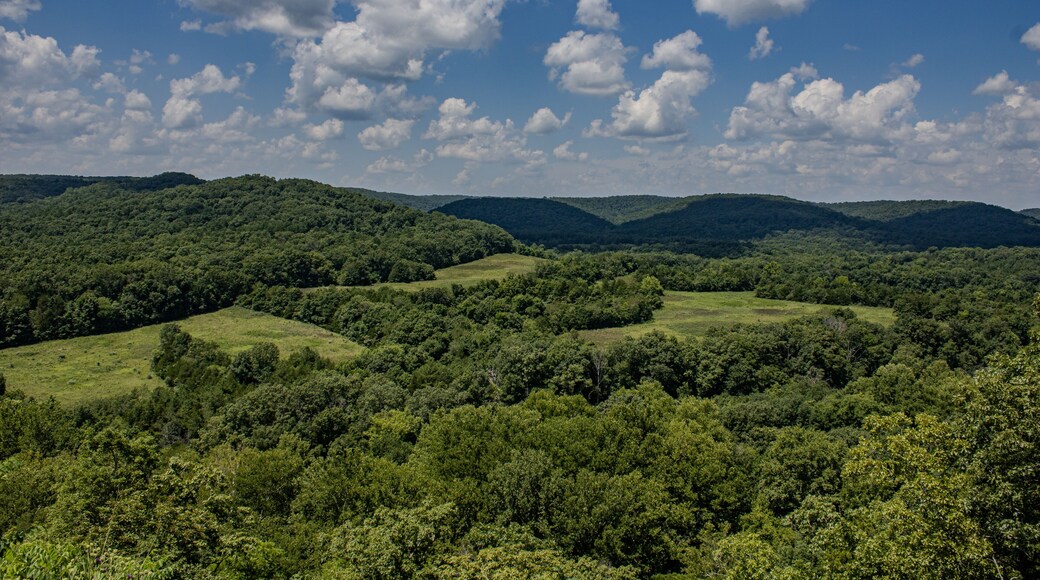Rolling ozark hills on a sunny afternoon with trees