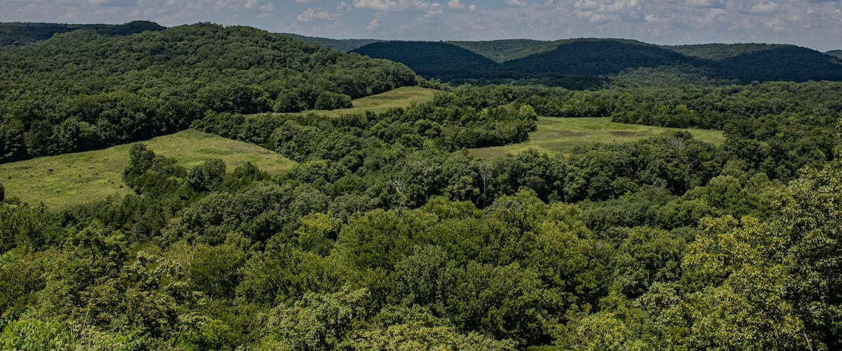 A lush green valley with rolling hills and a clear blue sky with scattered clouds.