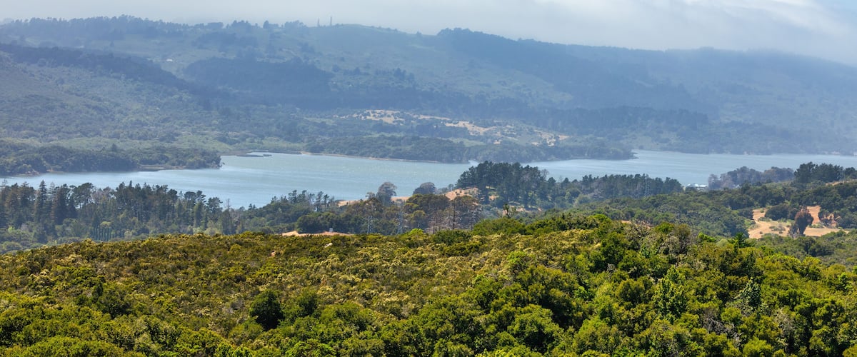 Fog slides over the hills in a thick white blanket. Crystal Springs Reservoir, San Mateo County, California, USA.