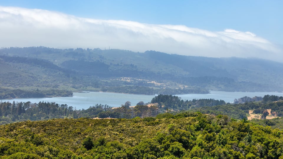 Fog slides over the hills in a thick white blanket. Crystal Springs Reservoir, San Mateo County, California, USA.