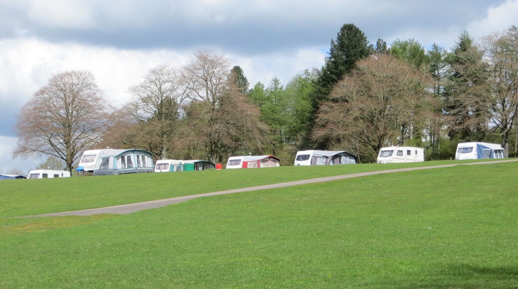 Bracelands - April 2012