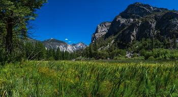 The Zumwalt Meadows area in the heart of the Kings Canyon national park.