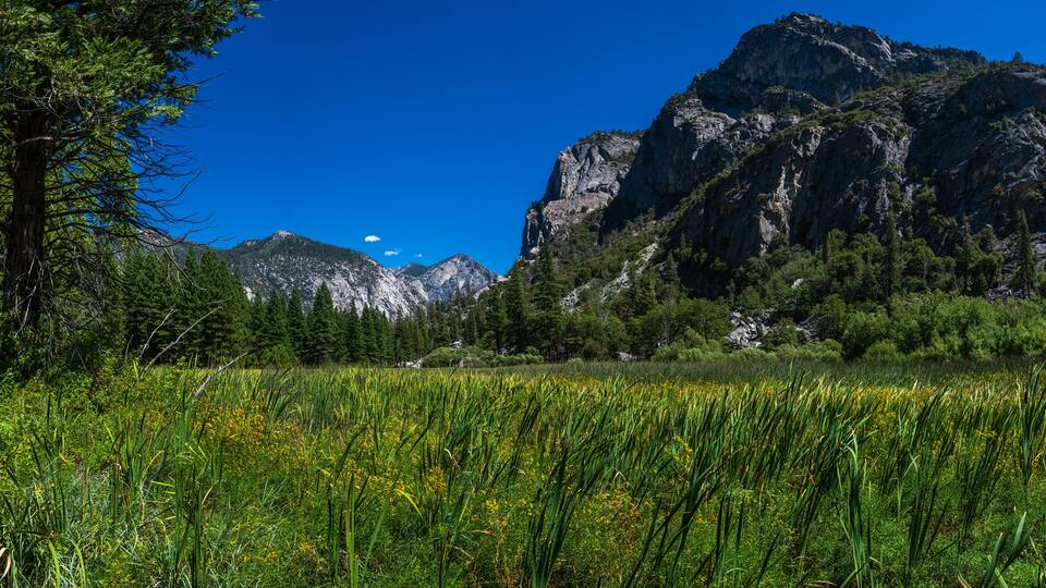 The Zumwalt Meadows area in the heart of the Kings Canyon national park.