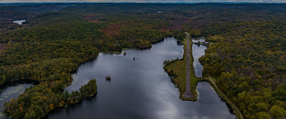 A lake surrounded by dense forest, with a road cutting through the landscape.
