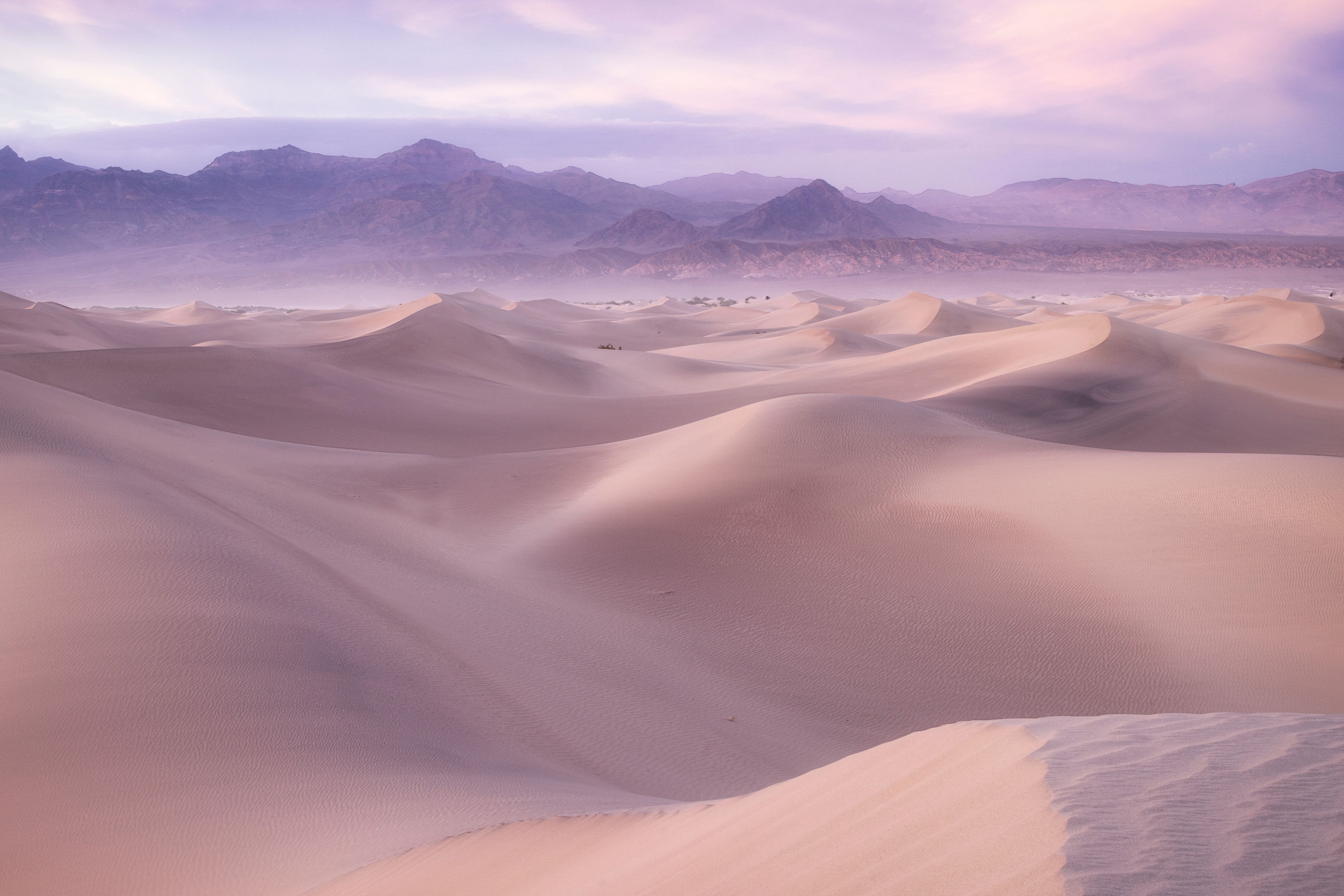 Mesquite Sand Dunes at Blue Hour in Death Valley National Park C