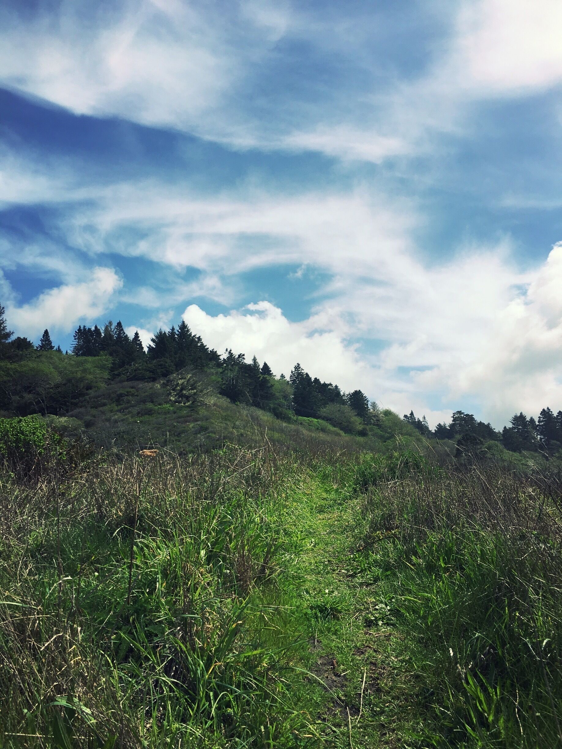 Patrick’s Point never disappoints!