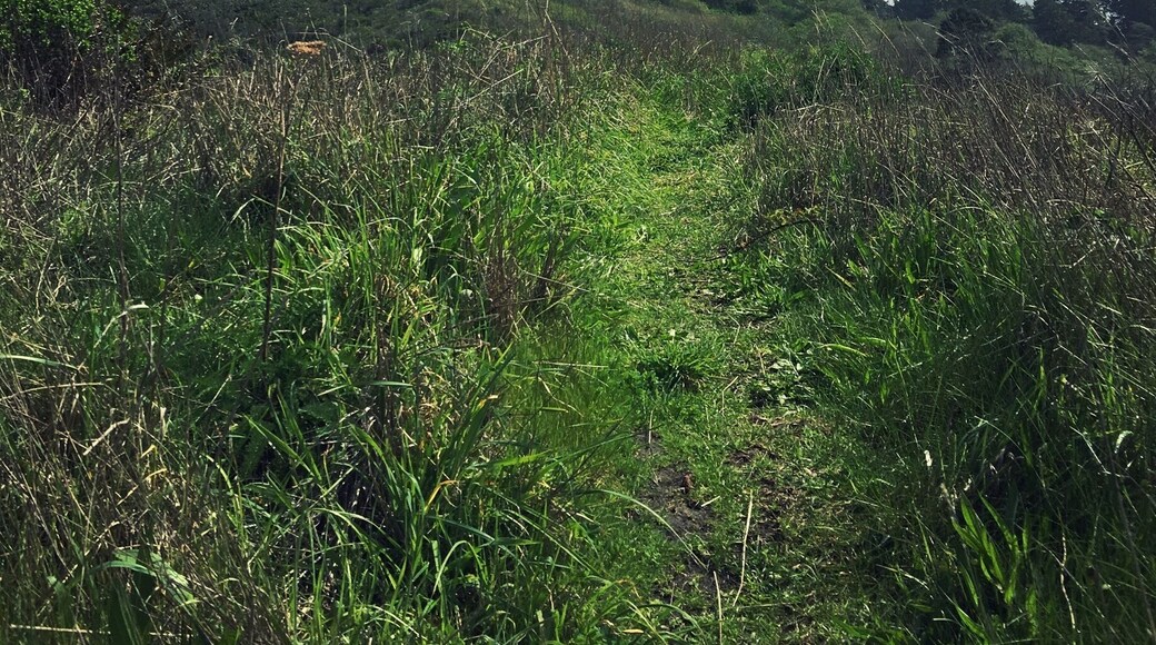 Patrickâs Point never disappoints!