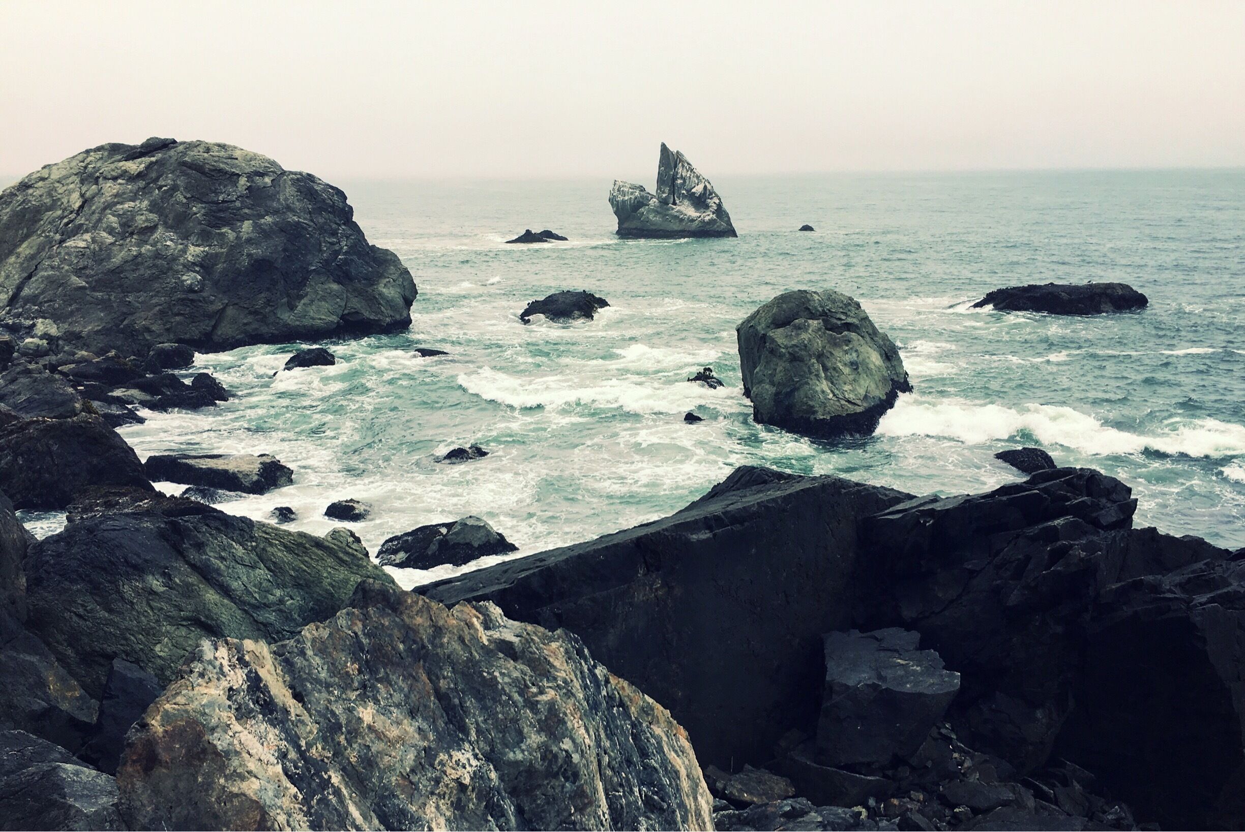 This was taken along Wedding Rock Beach Trail in Patrick’s Point State Park. A few seals were lounging on nearby rocks and a squadron of pelicans in formation flew by.

#Nature #StatePark
