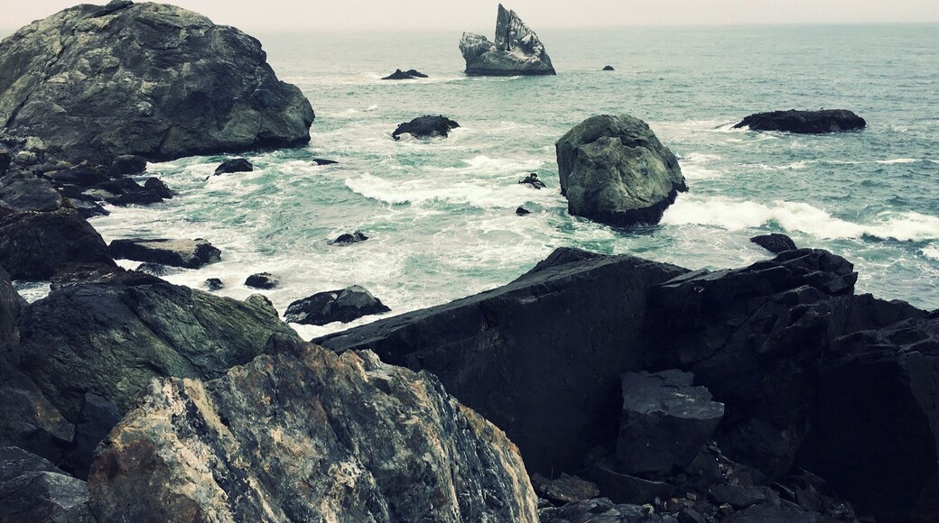 This was taken along Wedding Rock Beach Trail in Patrickâs Point State Park. A few seals were lounging on nearby rocks and a squadron of pelicans in formation flew by.
#Nature #StatePark