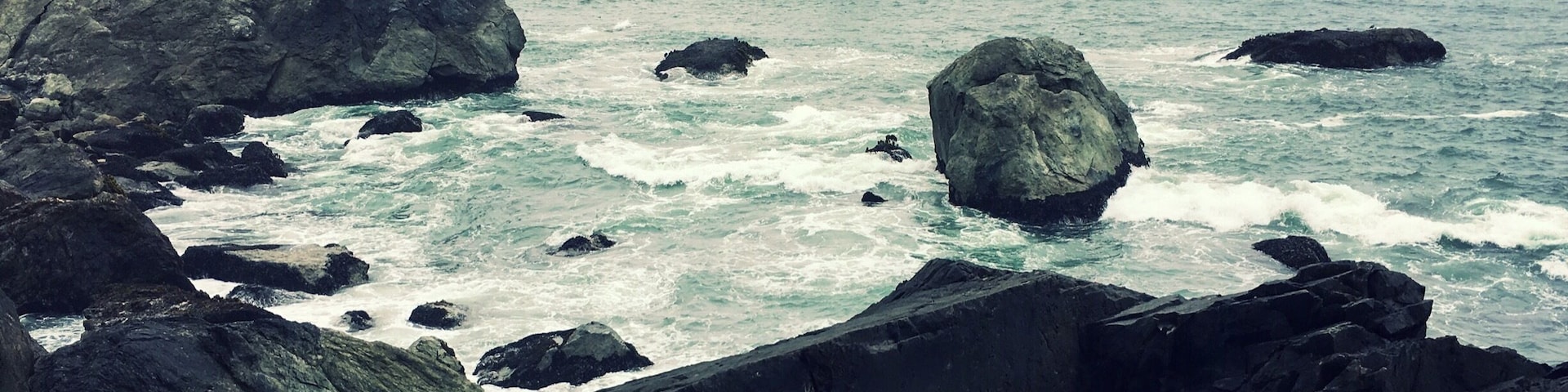 This was taken along Wedding Rock Beach Trail in Patrick’s Point State Park. A few seals were lounging on nearby rocks and a squadron of pelicans in formation flew by.
#Nature #StatePark