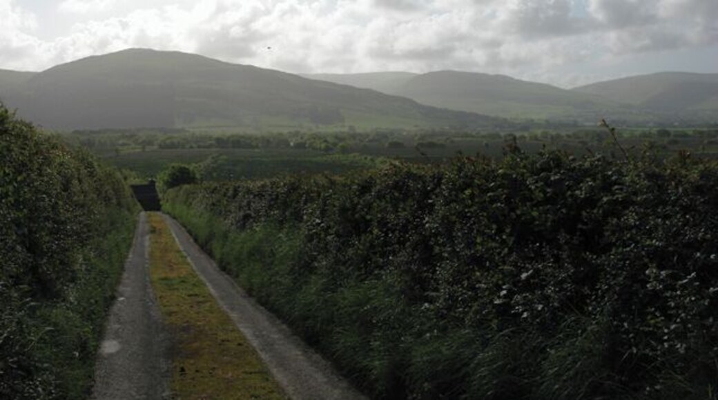 The road to Glan Morfa Bach farmhouse The road dips sharply here, which is why only the roof of the farmhouse is visible.