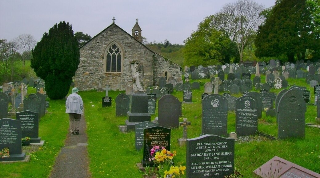 The first known documentary reference to the church at Llanegryn dates to 1254. Its square font is thought to date to around this time, being twelfth or thirteenth century in style. The roof, rood screen and rood loft are thought to date to around 1520. The carved rood screen is considered one of the finest examples in Wales, and there is a story that it came from Cymer Abbey after the dissolution. The roof retains arch-braced collar-beam trusses with decoration between the struts. It was repaired in 1770. The south porch is thought to be late medieval. The church building underwent two periods of restoration during the nineteenth century.