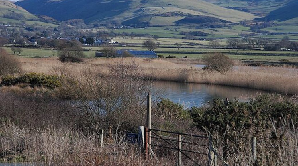 The Afon Dysynni below Pont Dysynni A mature river meandering through reed beds as it makes its way towards Broad Water and the sea beyond.