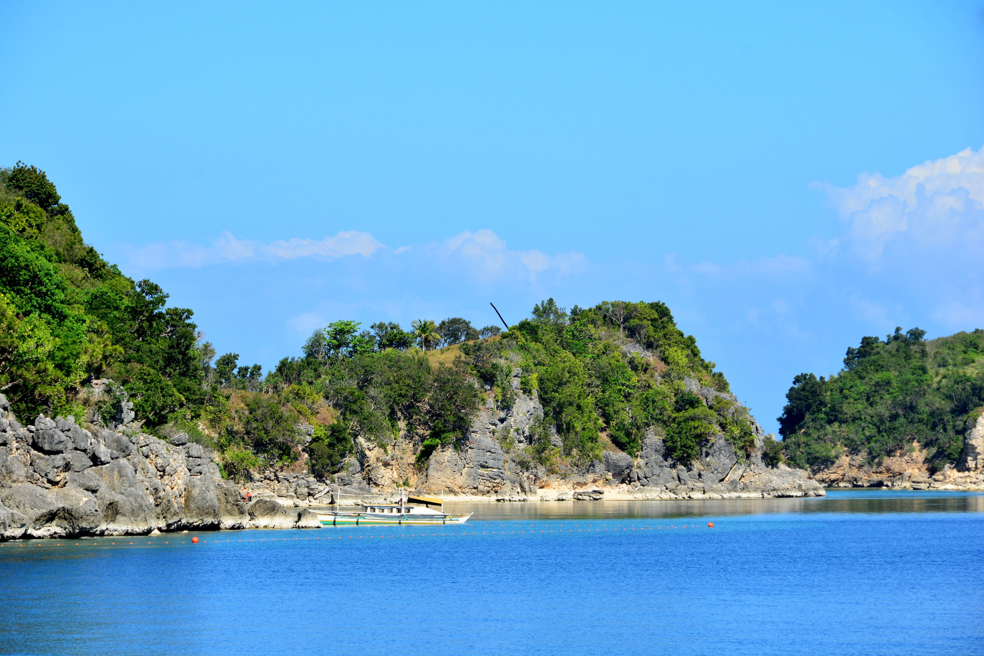 A coastal landscape with rocky cliffs, dense greenery, and a calm blue sea.