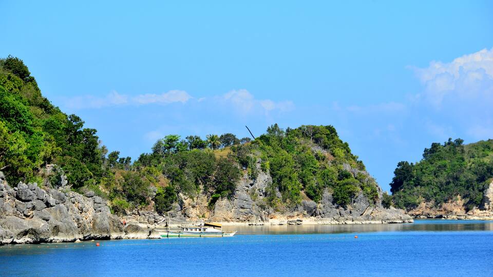 A coastal landscape with rocky cliffs, dense greenery, and a calm blue sea.