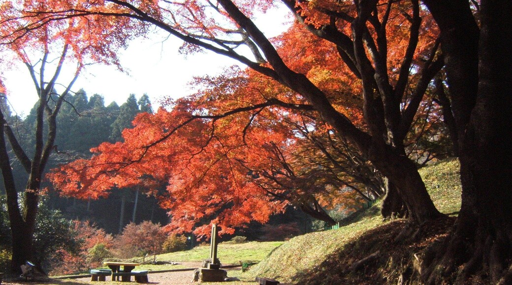 Ruins of Sakuyama castle. Ōtawara, Tochigi, Japan.
