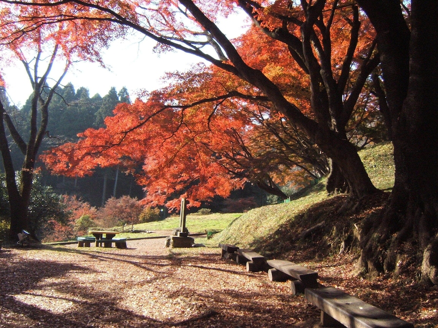 Ruins of Sakuyama castle. Ōtawara, Tochigi, Japan.
