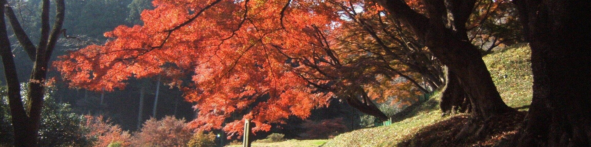 Ruins of Sakuyama castle. Ōtawara, Tochigi, Japan.