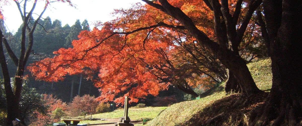 A park with autumn foliage, picnic tables, and a stone monument.