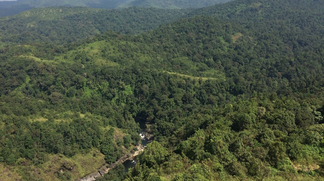 View from the Watch tower @ Sialandri
Silent Valley National Park (Core zone: 236.74 square kilometres (91 sq mi)) is located in the Nilgiri Hills, Palakkad District in Kerala, South India. The Silent Valley is the largest national park in Kerala.
The park is one of the last undisturbed tracts of South Western Ghats mountain rain forests and tropical moist evergreen forest in India and is part of The Nilgiri Sub-Cluster (6,000+ km²), Western Ghats World Heritage Site, recognised by UNESCO.