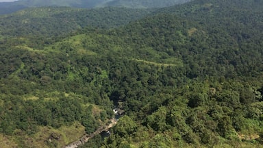 View from the Watch tower @ Sialandri
Silent Valley National Park (Core zone: 236.74 square kilometres (91 sq mi)) is located in the Nilgiri Hills, Palakkad District in Kerala, South India. The Silent Valley is the largest national park in Kerala.
The park is one of the last undisturbed tracts of South Western Ghats mountain rain forests and tropical moist evergreen forest in India and is part of The Nilgiri Sub-Cluster (6,000+ km²), Western Ghats World Heritage Site, recognised by UNESCO.