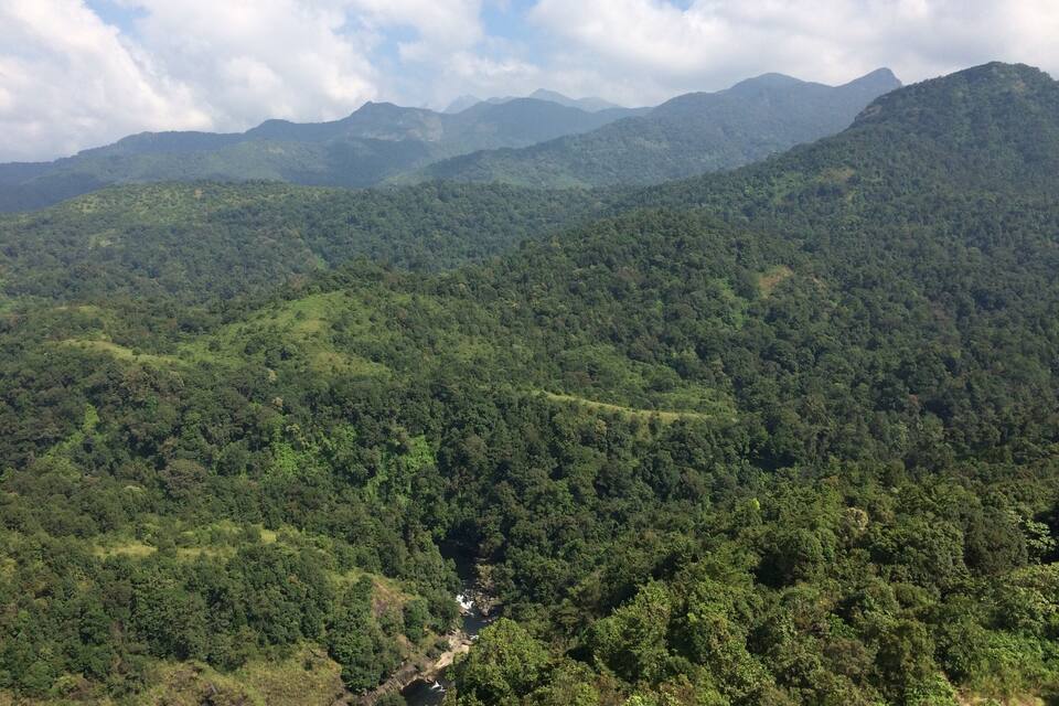 A dense forested mountain range with a river flowing through a valley.