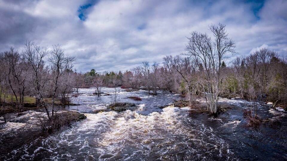 A turbulent river surrounded by leafless trees under a cloudy sky.