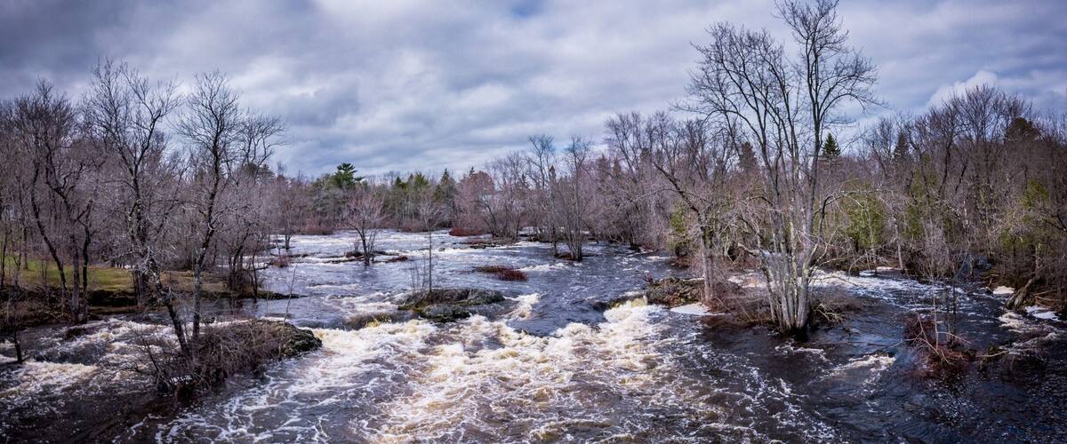 A turbulent river surrounded by leafless trees under a cloudy sky.