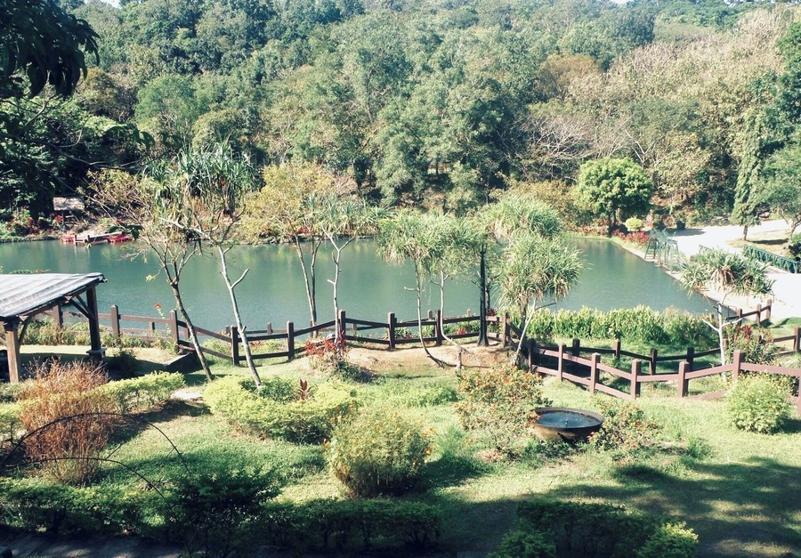 Mambukal
