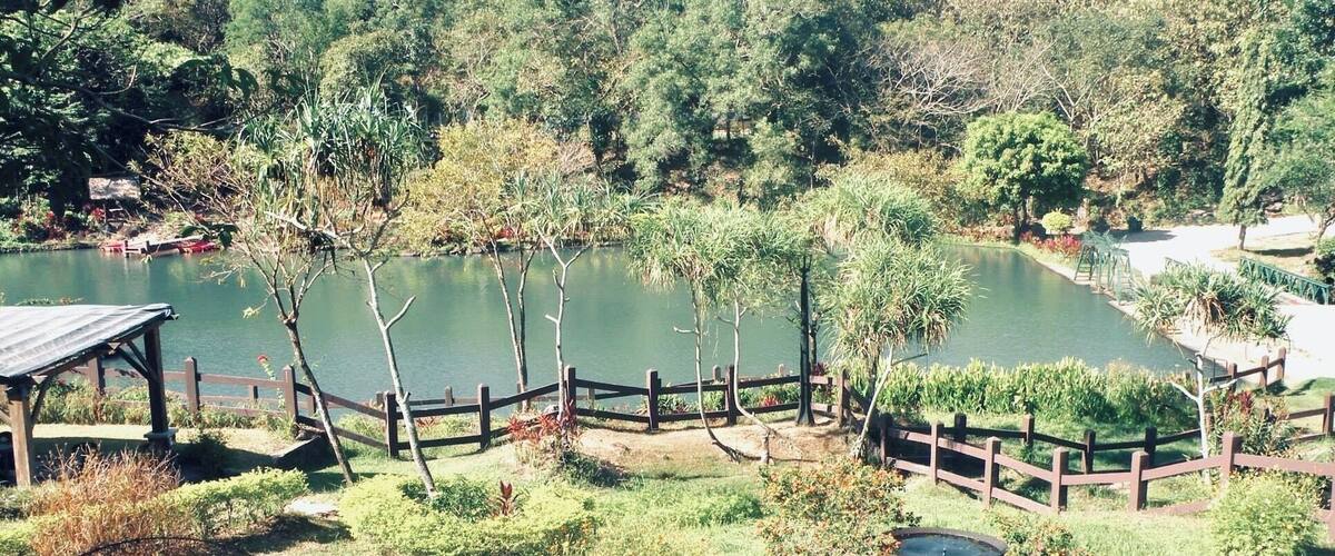 A serene lake surrounded by lush greenery and a wooden fence.