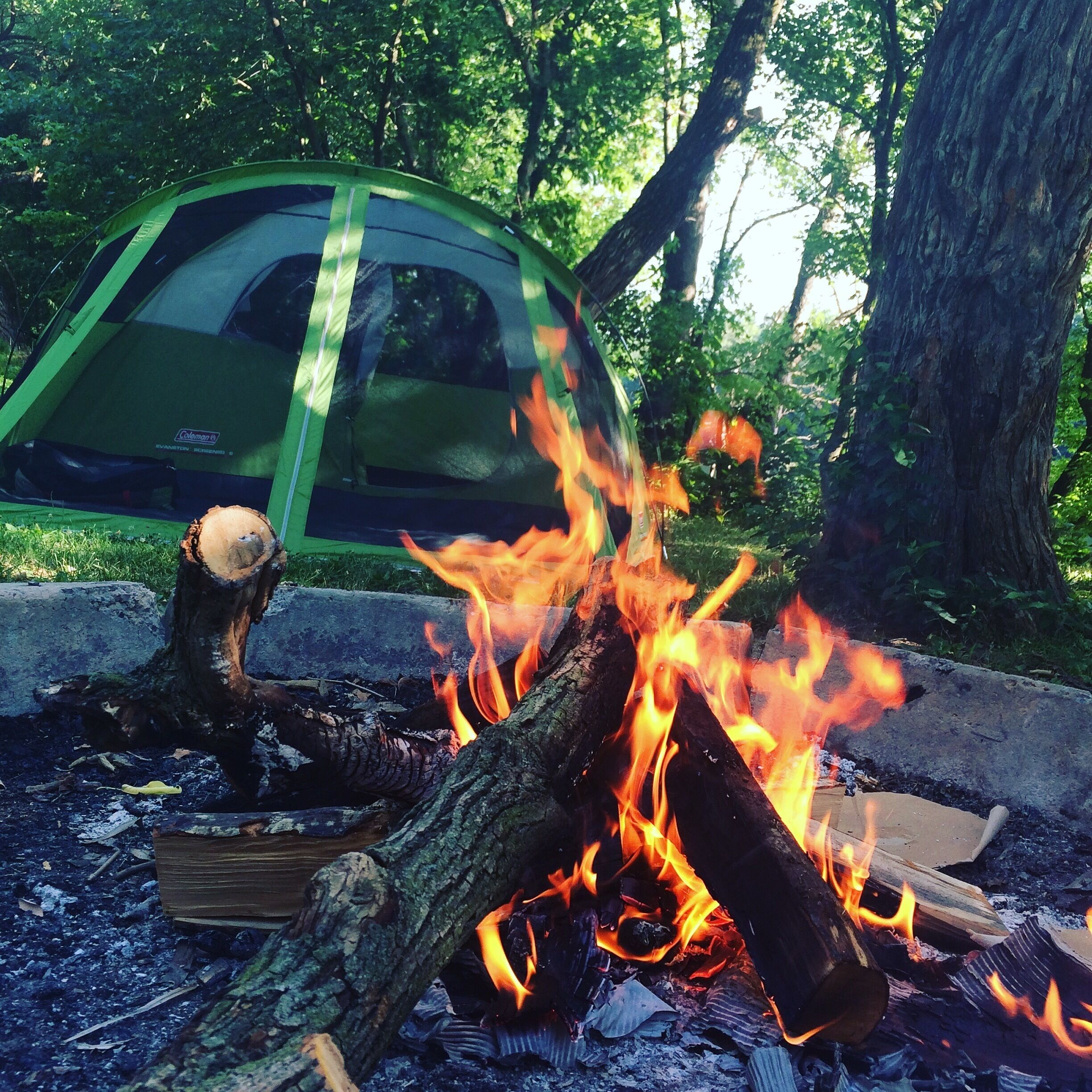 Wonderful spot to spend a few nights. Don't expect anything fancy, just a fire ring and a picnic table but it's quiet and the sites are well spaced out. 