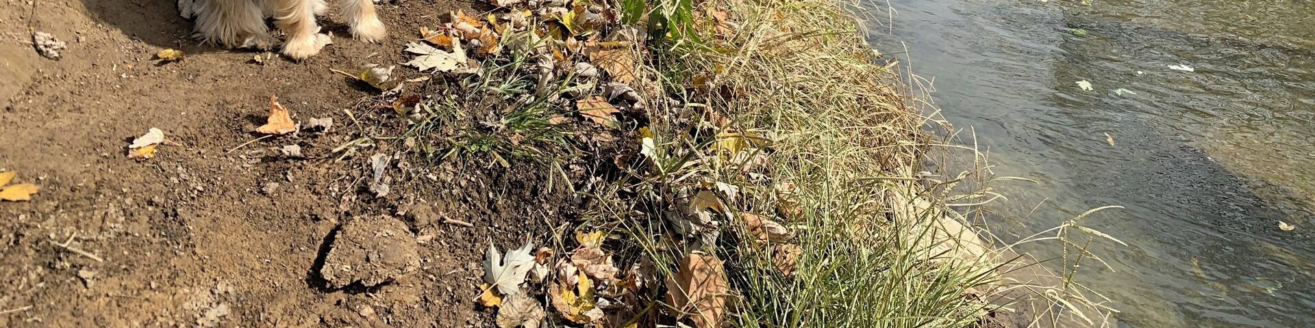 Antietam Aqueduct on the C & O canal towpath.
