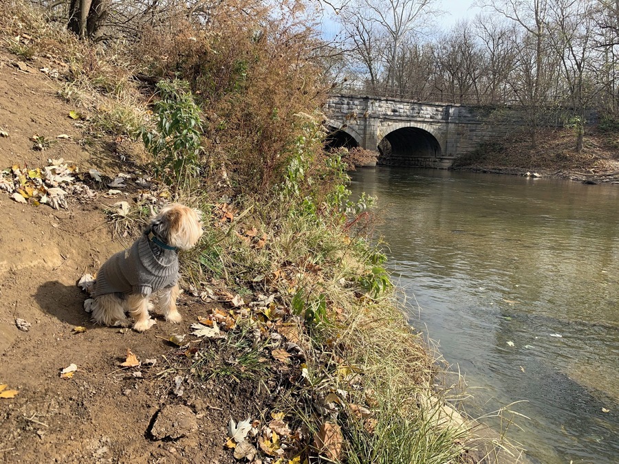 Antietam Aqueduct on the C & O canal towpath.