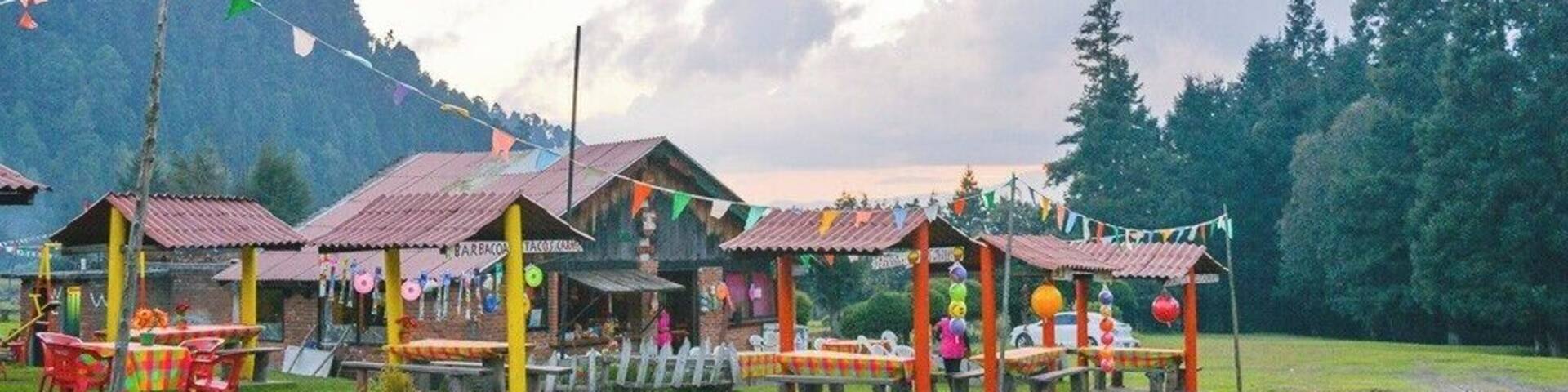 A short trip from Mexico City, La Marquesa is the perfect place to escape the big city and simply enjoy a bit of nature. Be sure to try the blue corn tortillas, the freshwater trout, and some rabbit, too. The food is the main draw to the national park, but you can also hike, go horseback riding, ride a quad bike, or go ziplining. You need a car to get here so you can either rent one from Mexico City or hire a driver from beside the Zocalo. #troveon