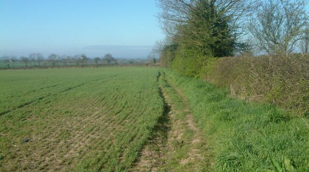 Leaving Linton The start of the footpath running in an Easterly direction from Linton. The footpath runs along the hedge to the right.