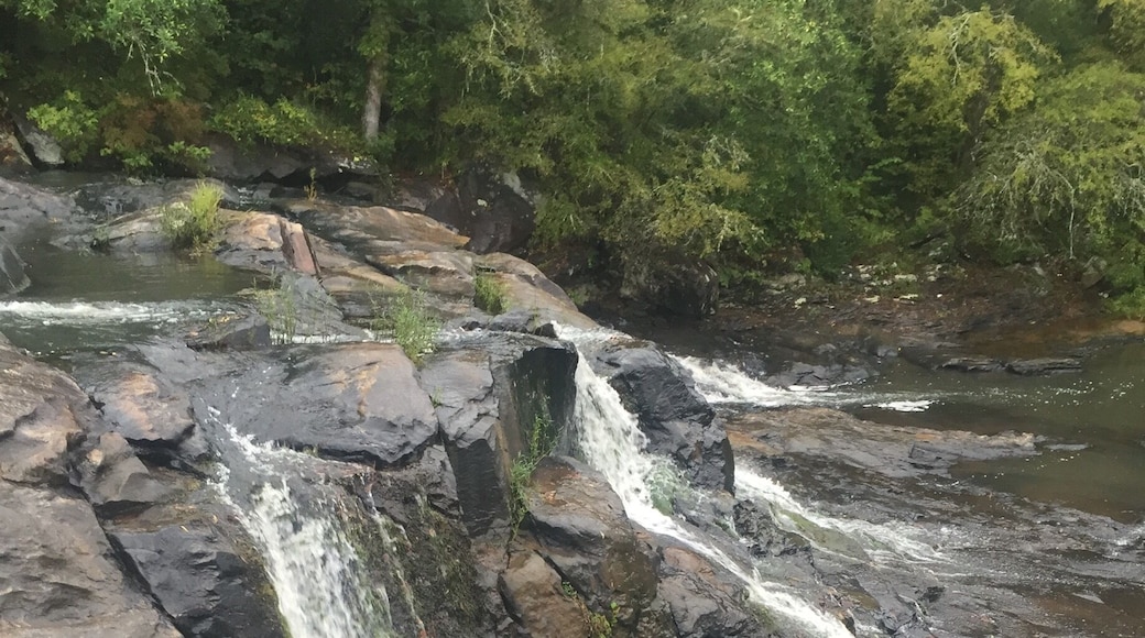 Is there a better way to spend Sunday??