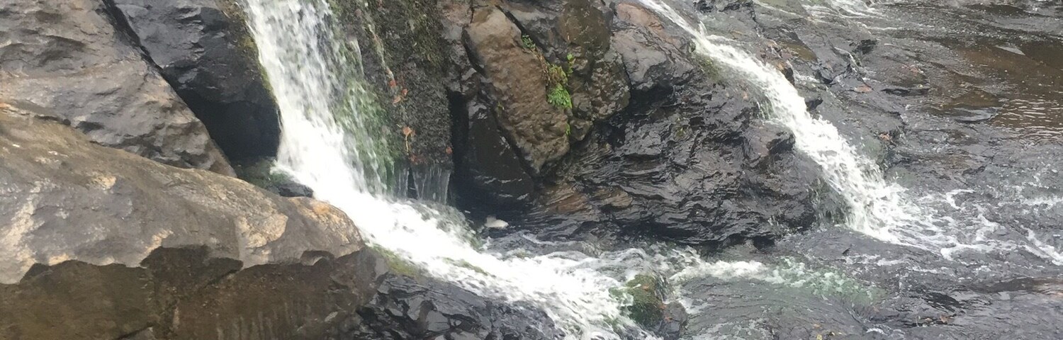 Is there a better way to spend Sunday??