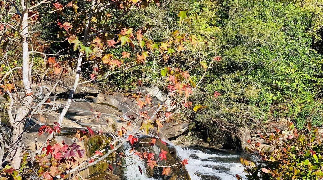 Great spot for leisure time, photos and relaxing.