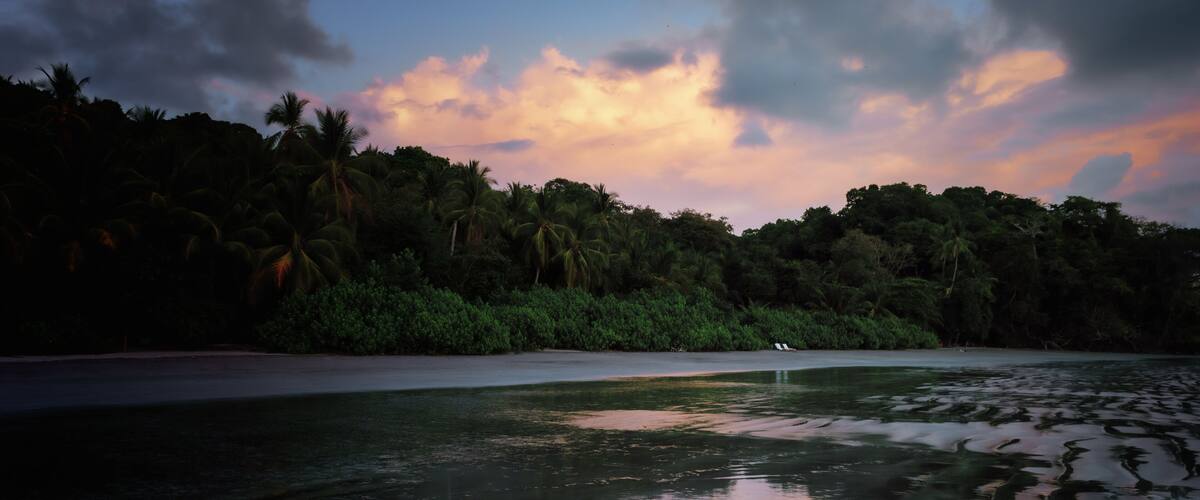 A beach with palm trees and a calm sea reflecting the sky.