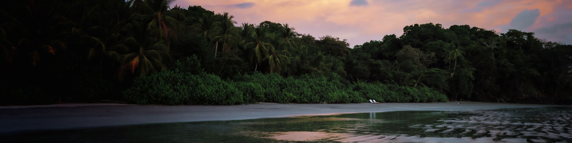 A beach with palm trees and a calm sea reflecting the sky.