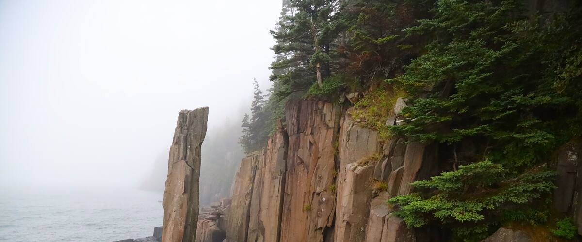 A rocky coastline with cliffs and dense green vegetation.