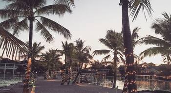My Beautiful home . How I miss you
#philippines
#beach
#palmtrees
#Whitesands
#life
#Nature