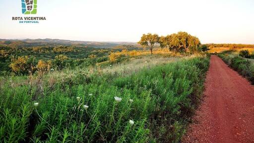 Rota vicentina is a network of 400 km of fully marked trails in Sw coast of Portugal. Check it out at rotavicentina.com
#rotavicentina #hiking #trekking #walking #portugal #alentejo #algarve