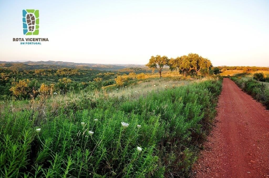 A rural landscape with a dirt road, green vegetation, and a tree in the distance.