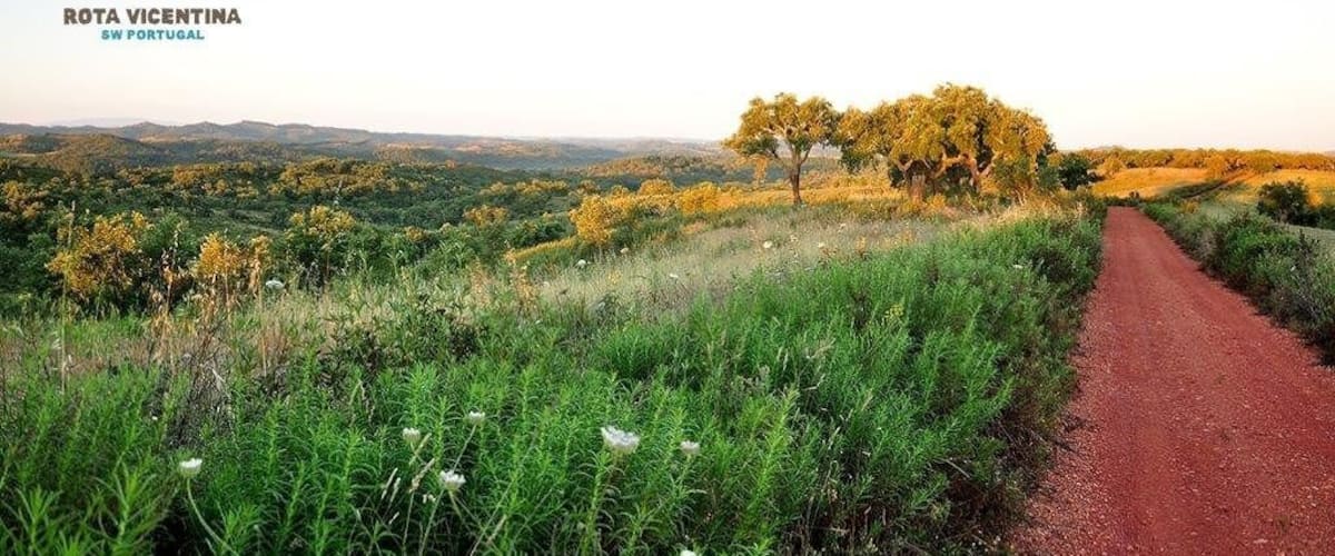 A rural landscape with a dirt road, green vegetation, and a tree in the distance.