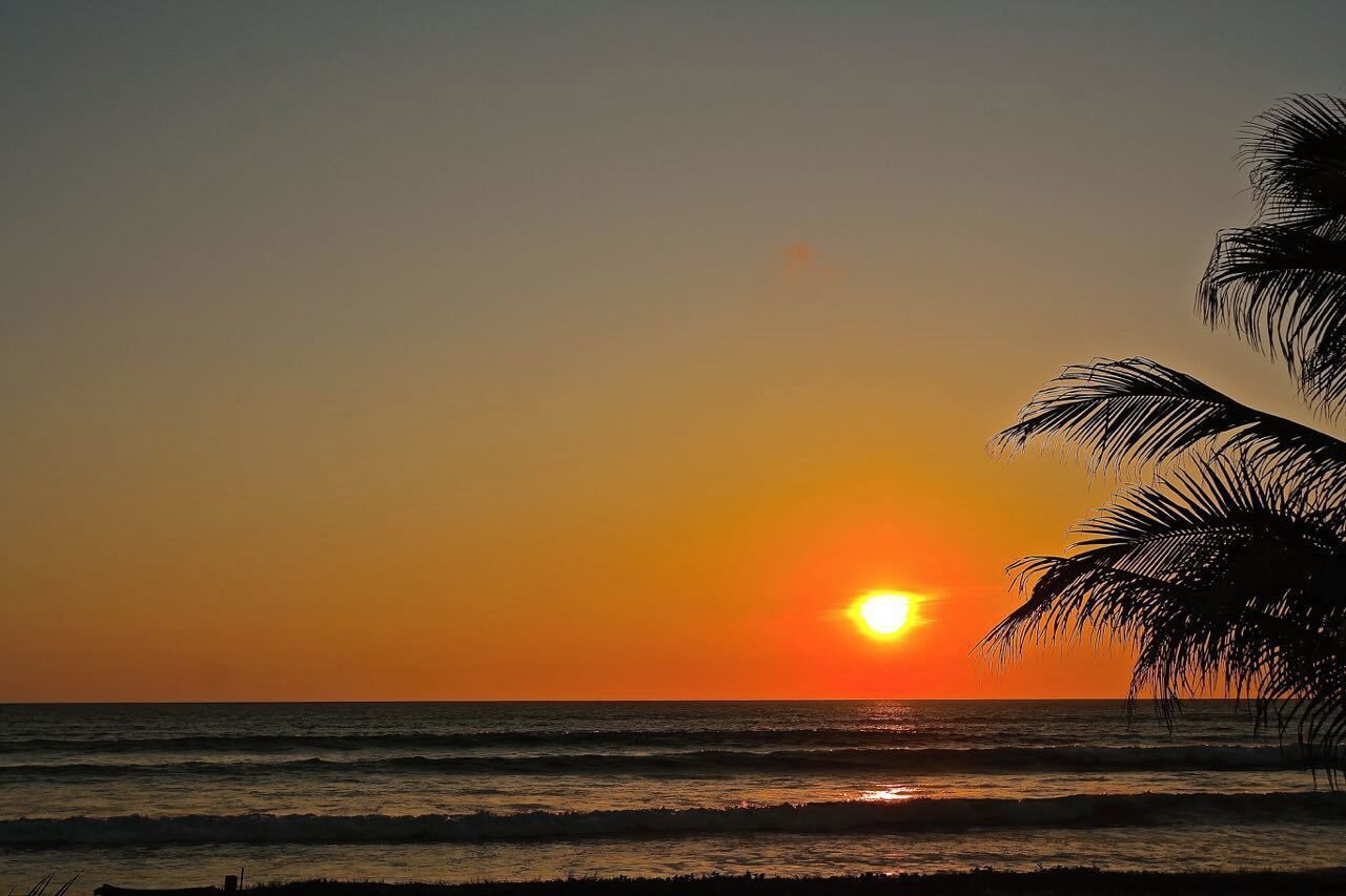 A sunset over the ocean with palm trees silhouetted against the sky.