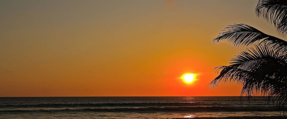 A sunset over the ocean with palm trees silhouetted against the sky.