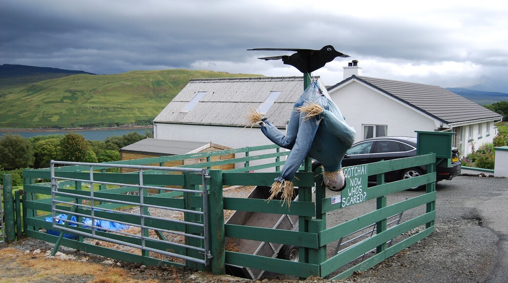 Tattie Bogal Scarecrows