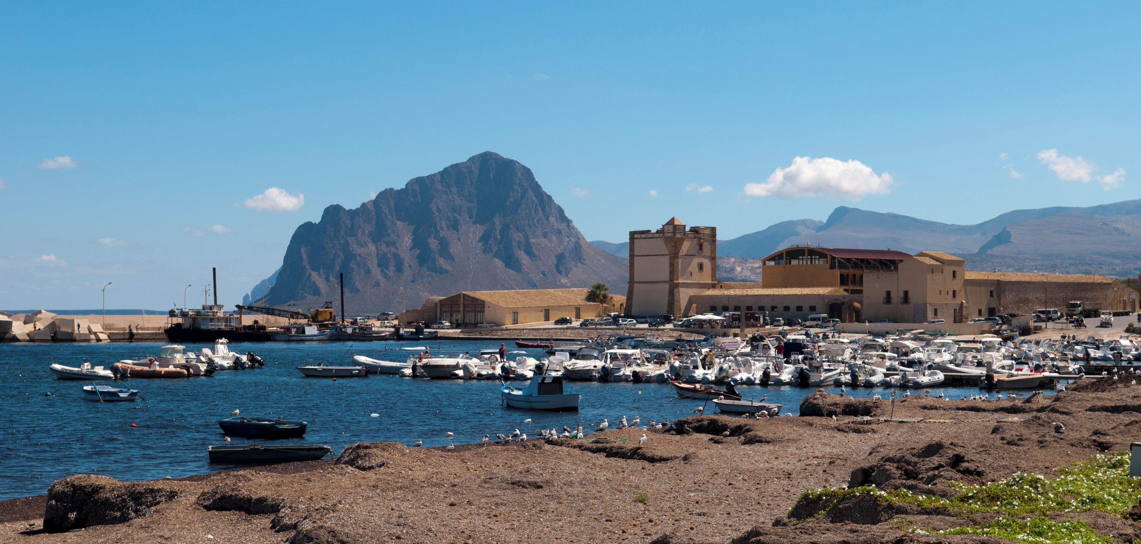 A coastal town with a rocky shoreline, numerous boats docked in a marina, and a prominent mountain in the background.